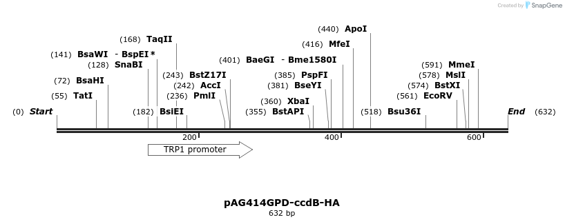 20677_map