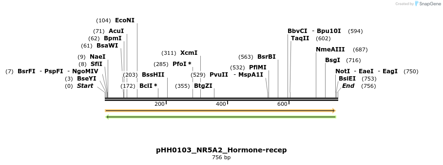 206770_map