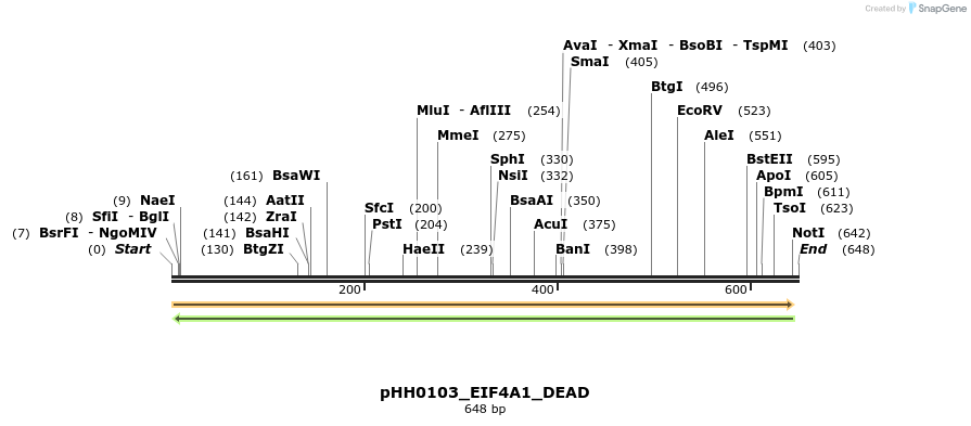206772_map