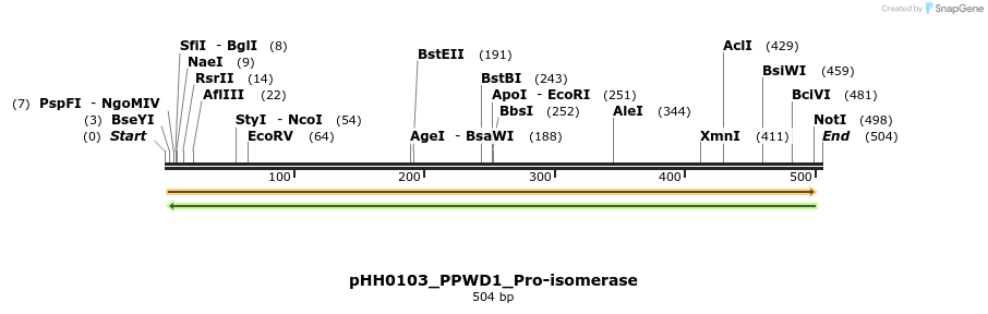 206773_map