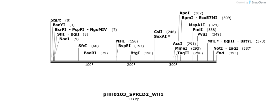 206777_map