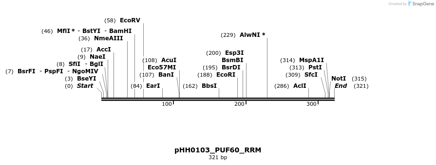 206782_map