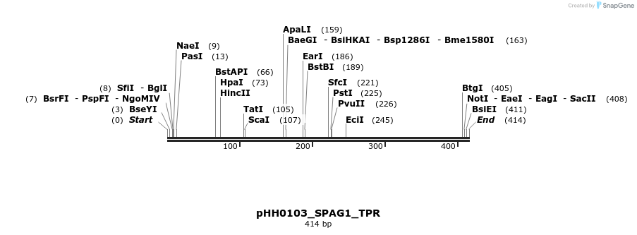 206792_map