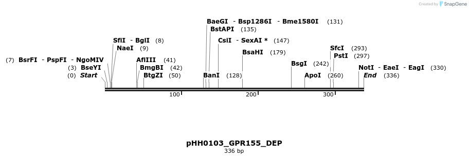 206794_map
