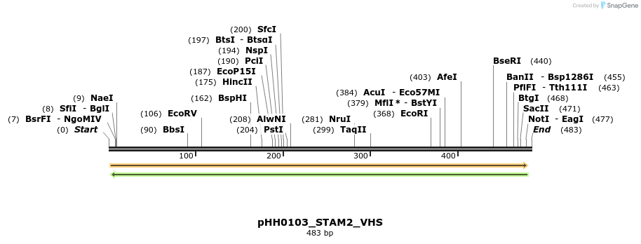 206795_map