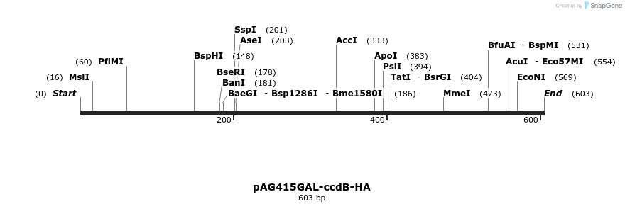 20680_map