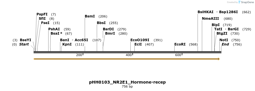 206803_map