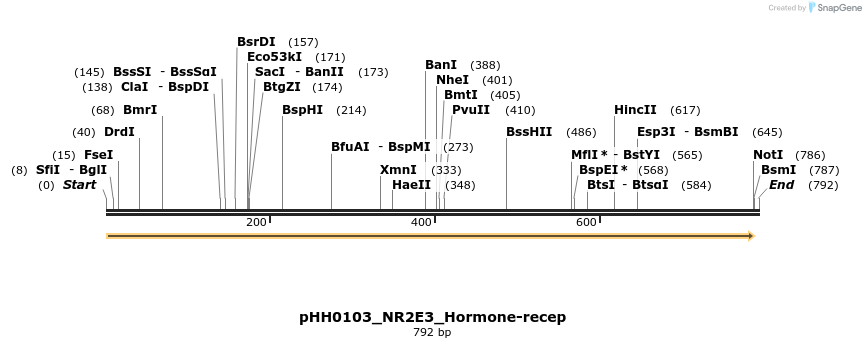 206804_map