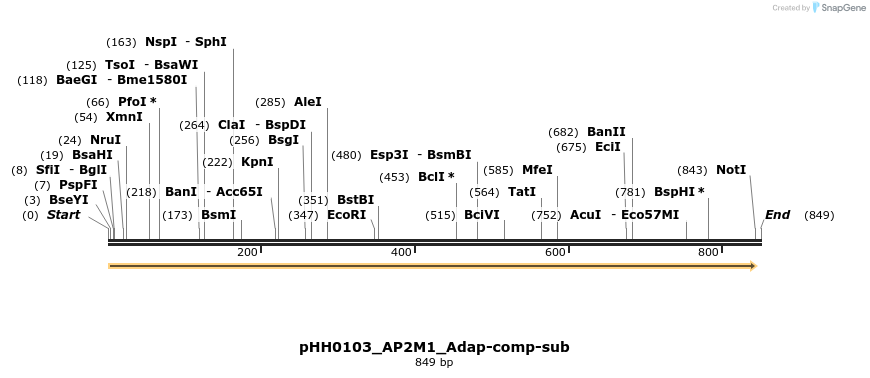 206807_map