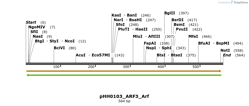 206808_map