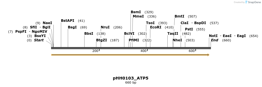 206809_map