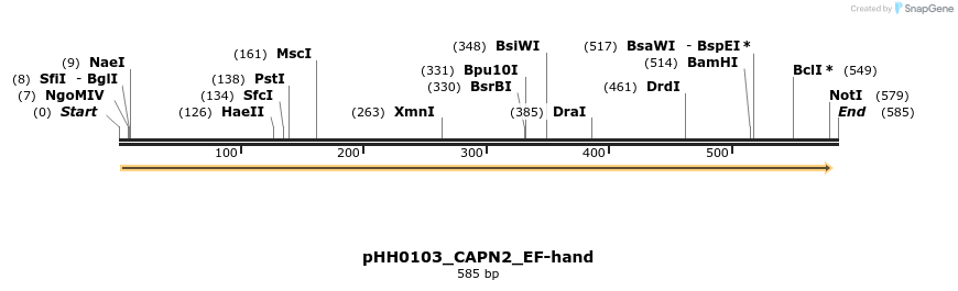 206810_map
