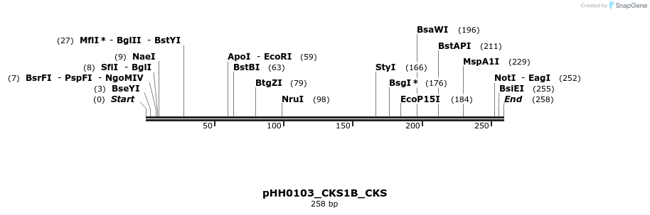 206811_map