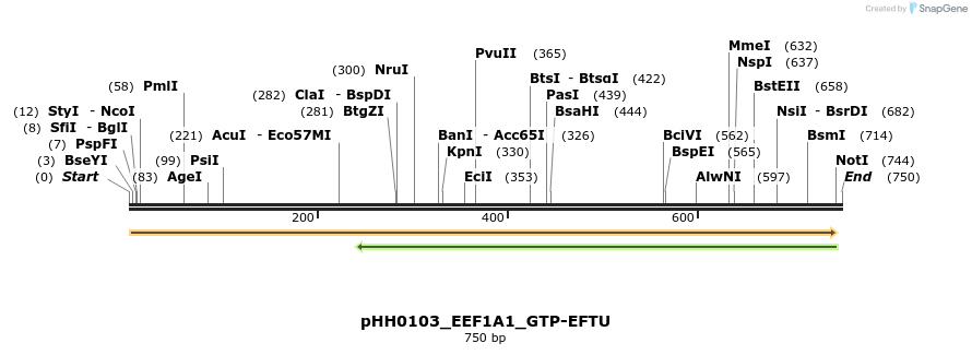 206813_map