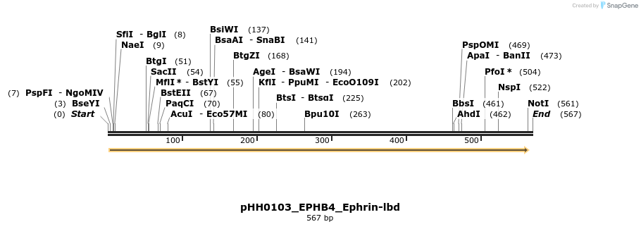 206815_map