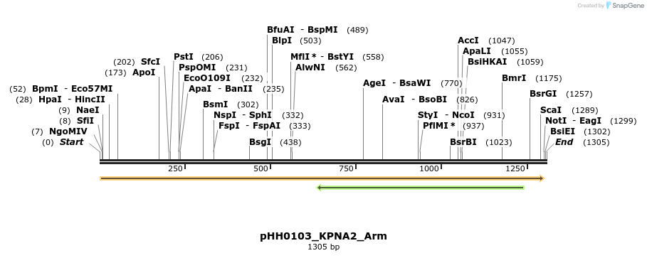 206818_map