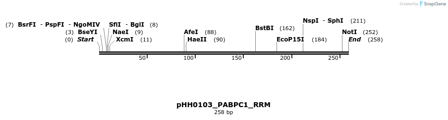 206822_map