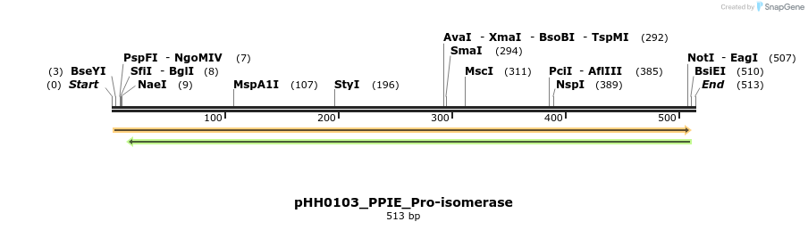 206823_map