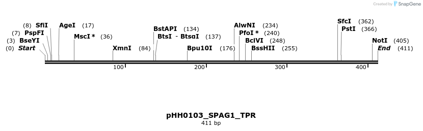 206825_map