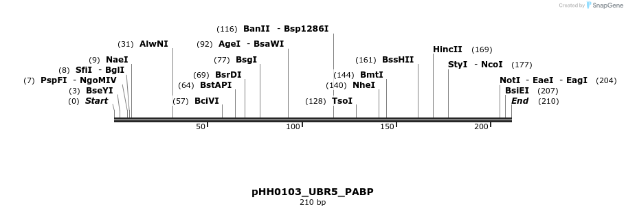 206829_map