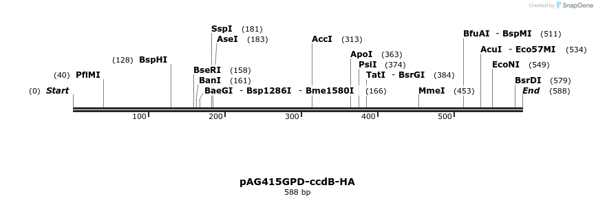 20683_map