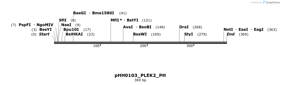 206831_map