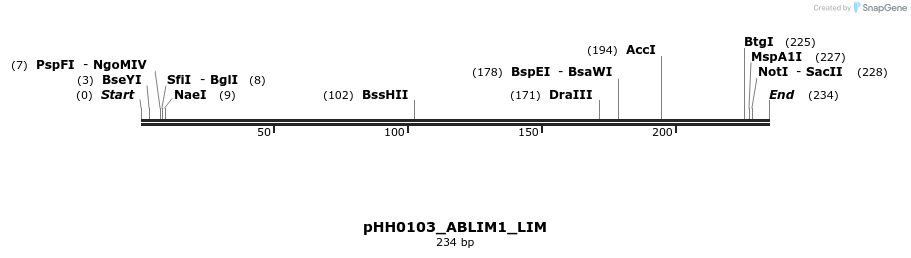 206832_map