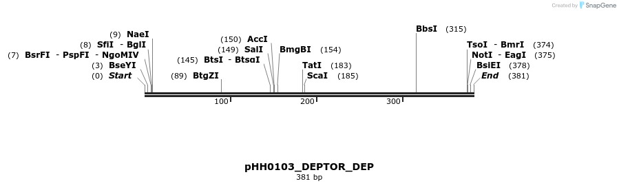 206834_map