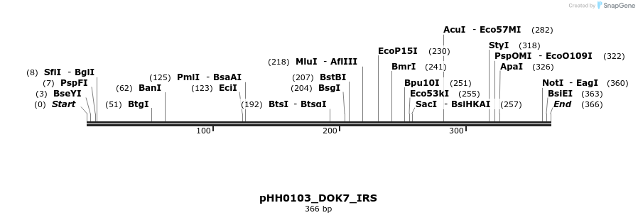 206839_map