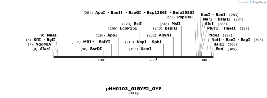 206841_map