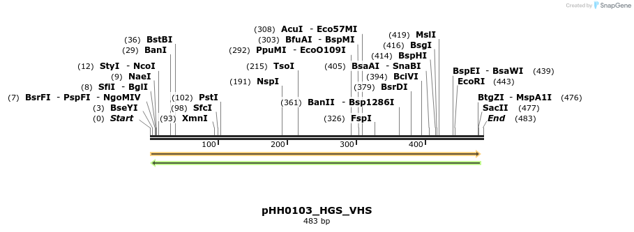206842_map