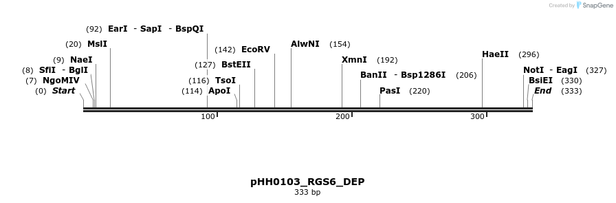 206849_map