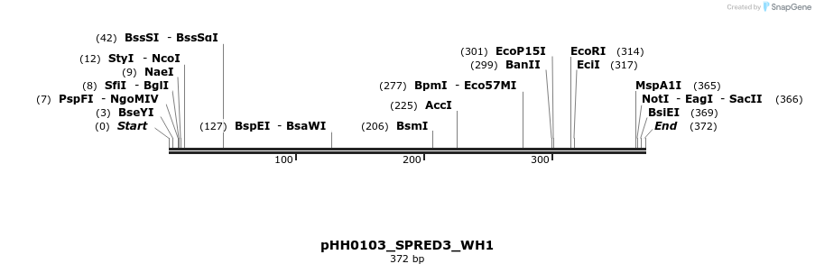 206851_map