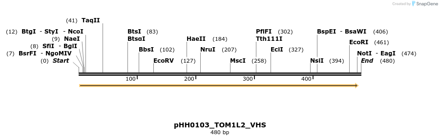206853_map
