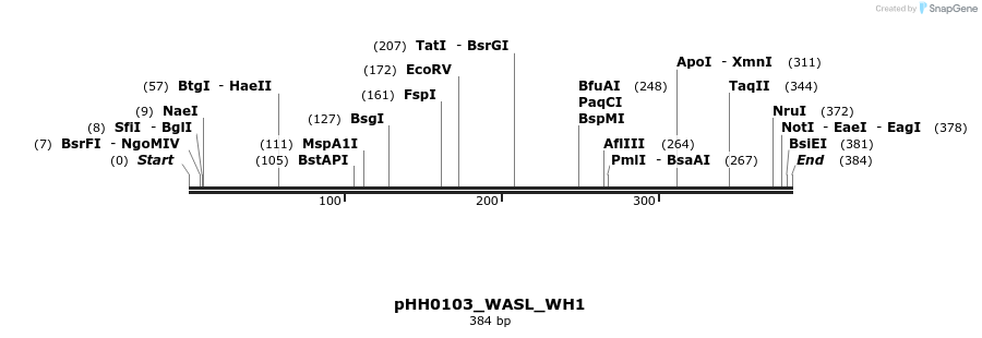 206855_map