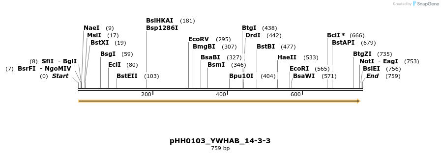 206856_map