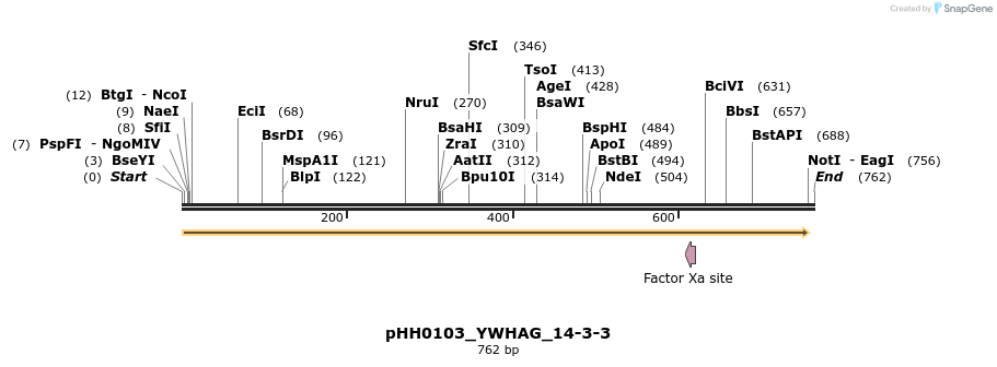 206857_map