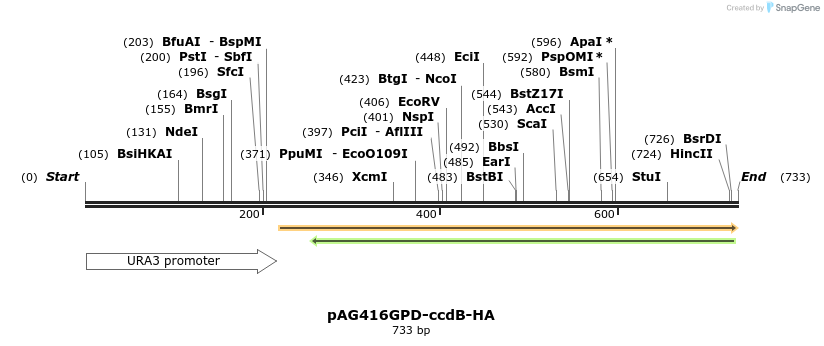 20689_map