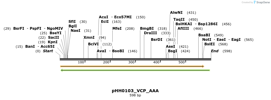 206916_map