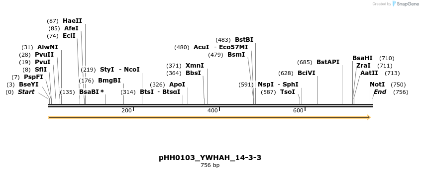 206940_map