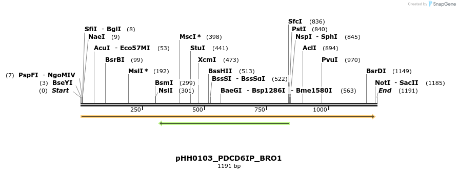 206946_map