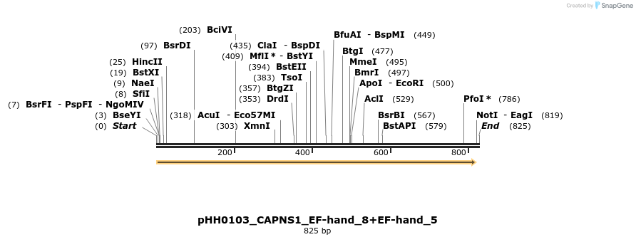 206947_map