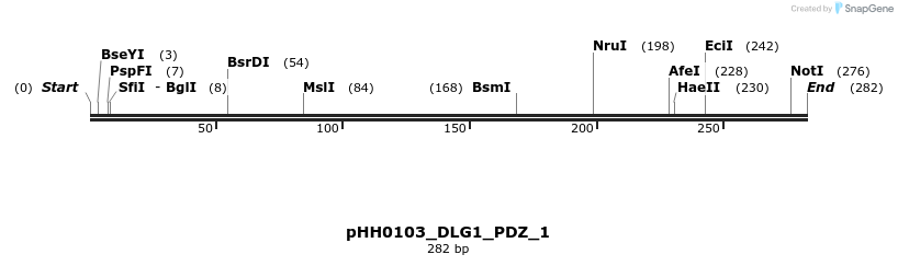 206950_map