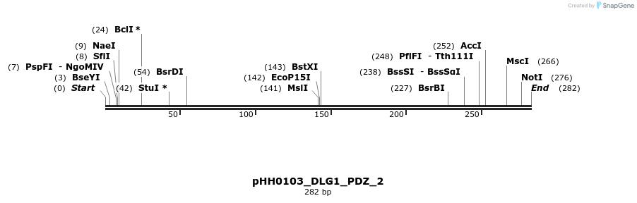 206951_map