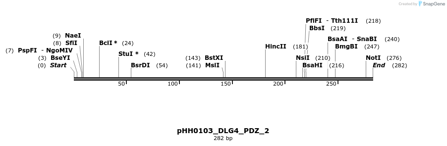 206954_map