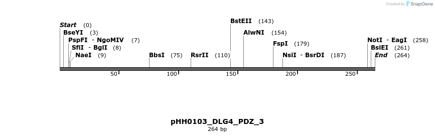 206955_map
