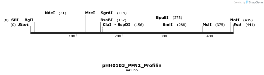 206959_map