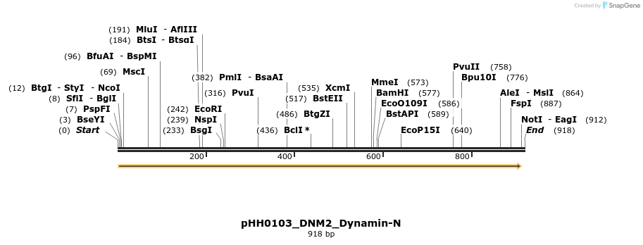 206960_map