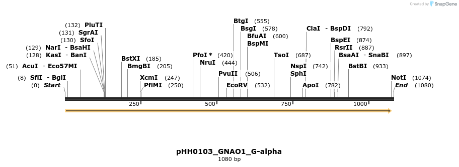 206965_map