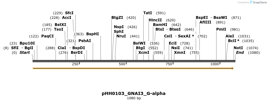 206966_map